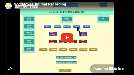 ScotMoves Animal Relocation Reporting Video Guide thumbnail