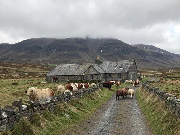 a small croft in west Scotland