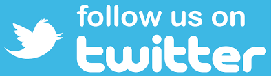 x social media platform