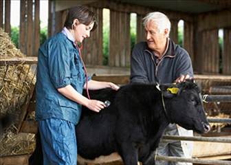 Animal health recording (Vet & Med)