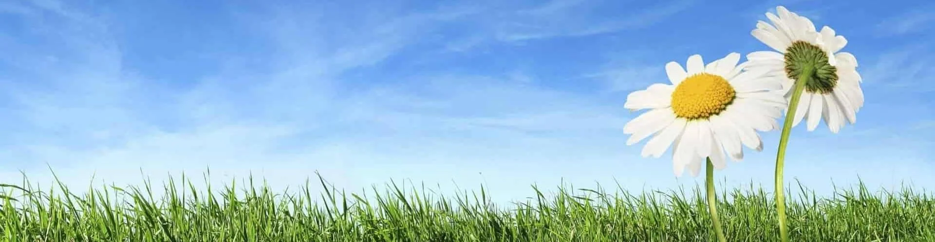 Farm Software slider logo background